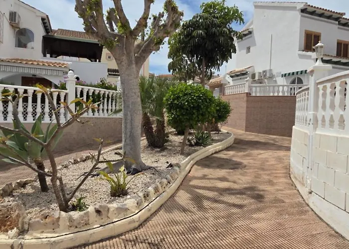 Lenia 托雷维耶哈