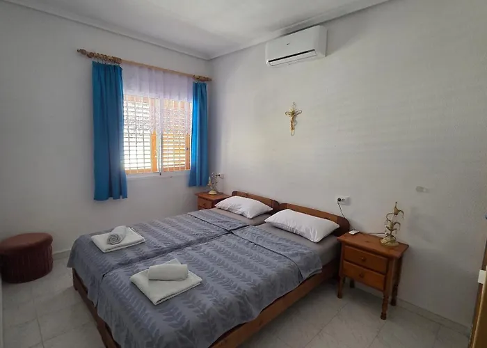 Lenia 托雷维耶哈