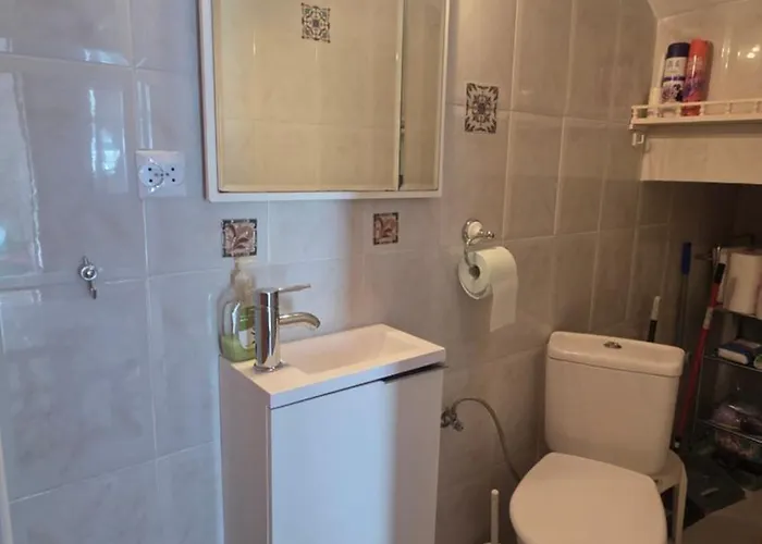 Lenia * 托雷维耶哈